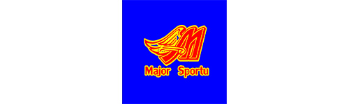 株式会社セグチ（メジャースポーツ）